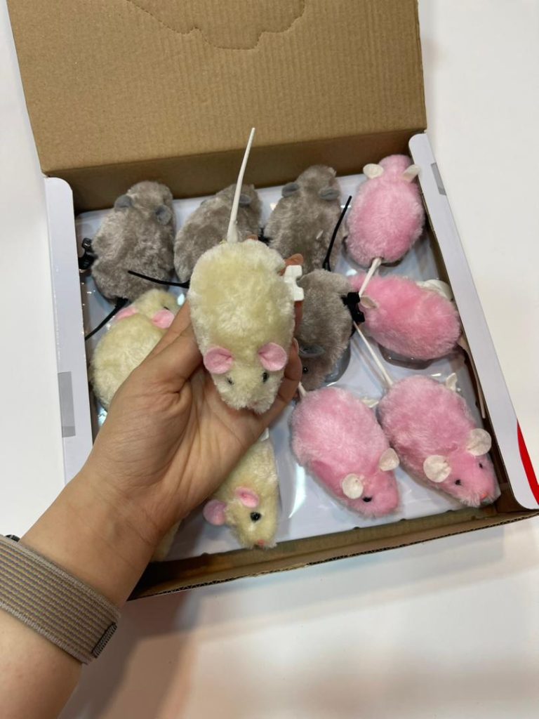 اسباب بازی موش کوکی برای گربه ها